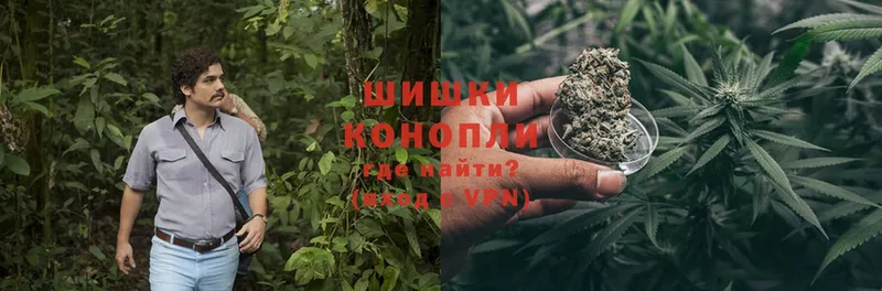 mega   закладка  Грязовец  Канабис Ganja 